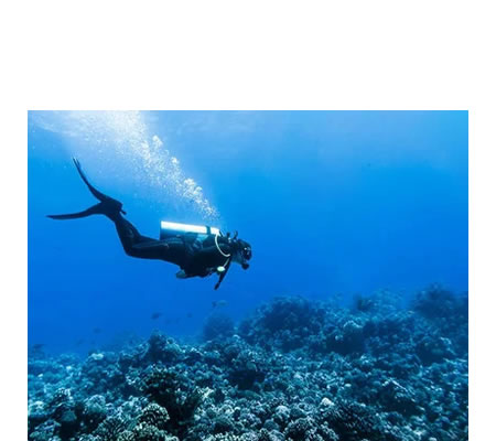 Los submarinistas necesitan tanques de aire cuando hacen inmersiones en el agua porque no pueden aprovechar el oxígeno que hay disuelto en el agua como hacen los peces.